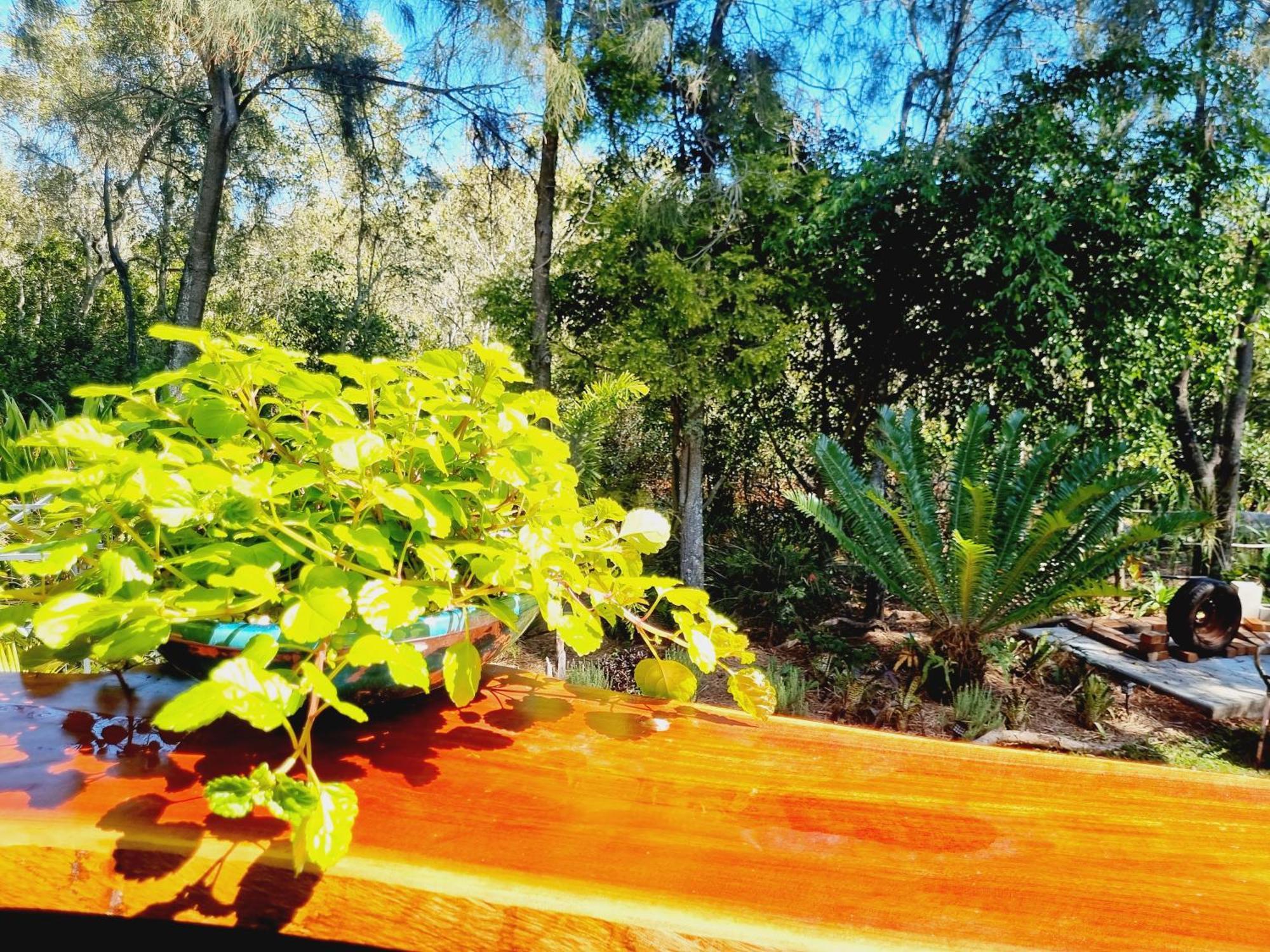 Birdsong Retreat - On Lamb Island Bed & Breakfast Karragarra Island Dış mekan fotoğraf